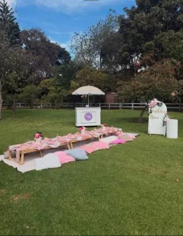 Birthday celebration picnic setup by Loopicnic